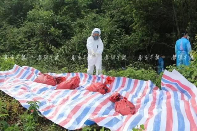廣西自然美景治愈之旅，探索自然魅力的探索之旅