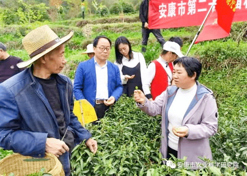 河北綠材建筑 第481頁