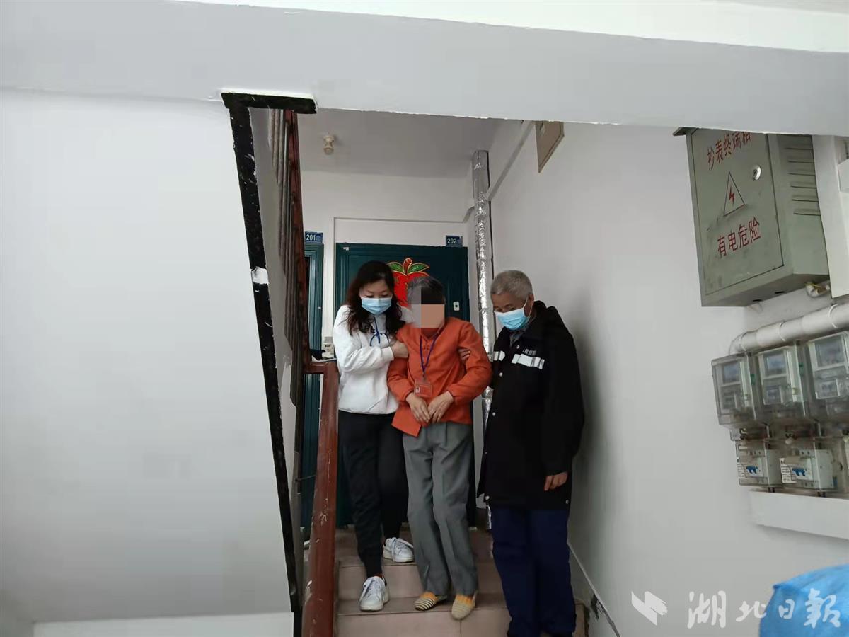 最新洪訊，自然美景探索之旅