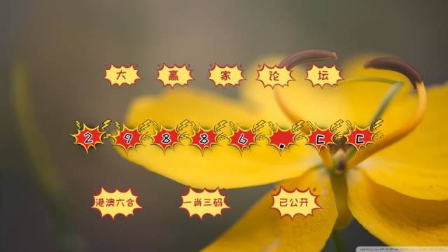 新澳門4949六開(kāi)彩,實(shí)證分析詳細(xì)枕_專業(yè)版62.791