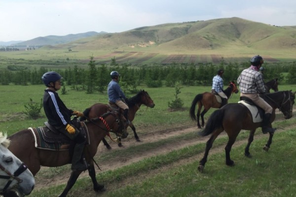 澳門今晚開特馬四不像圖,最新數據挖解釋明_動態(tài)版62.647