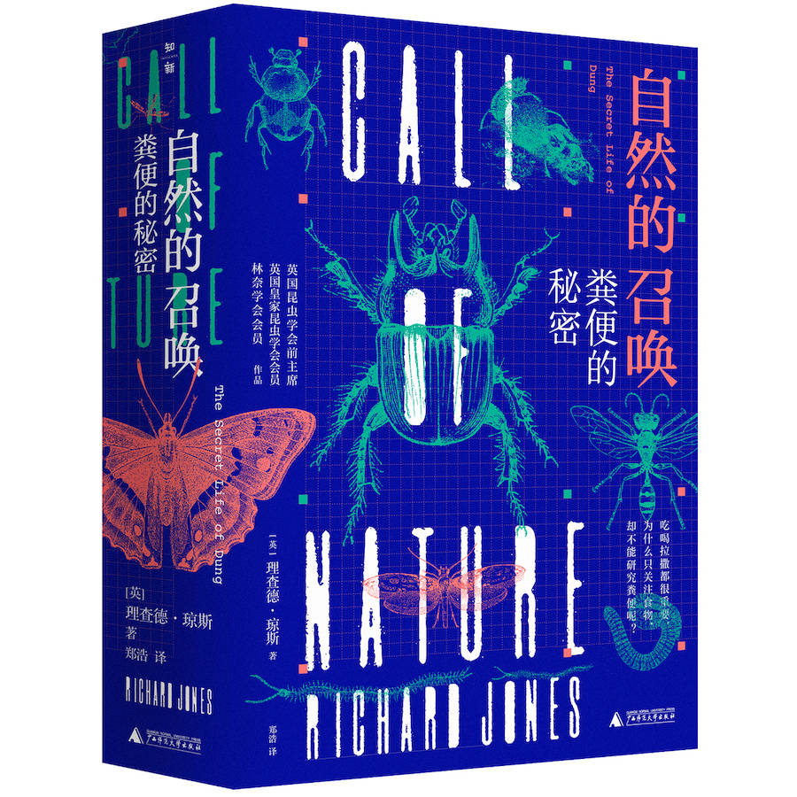 澳門最精準正最精準龍門客棧,社會科學(xué)解讀_動感版62.303