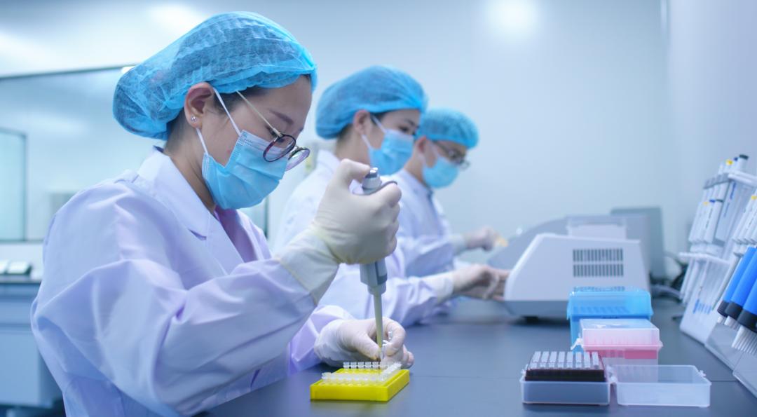 臻贊最新，小巷隱藏瑰寶的魅力和特色之旅