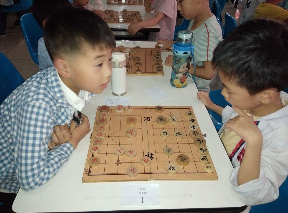 最新棋盤游戲，探索自然美景，尋找內(nèi)心寧靜與平和之旅