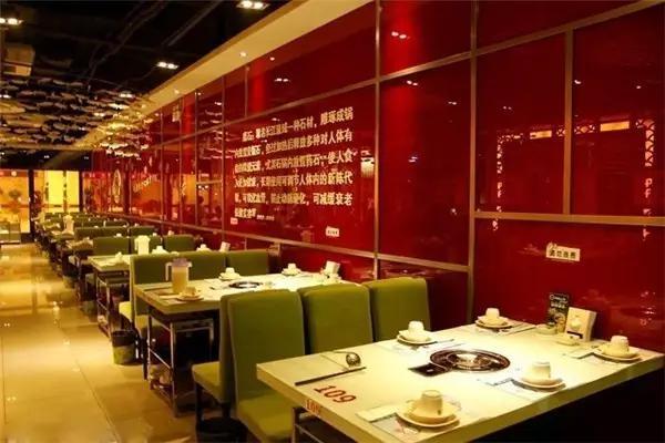 最新美食店，味蕾冒險與人生轉(zhuǎn)變的奇妙之旅