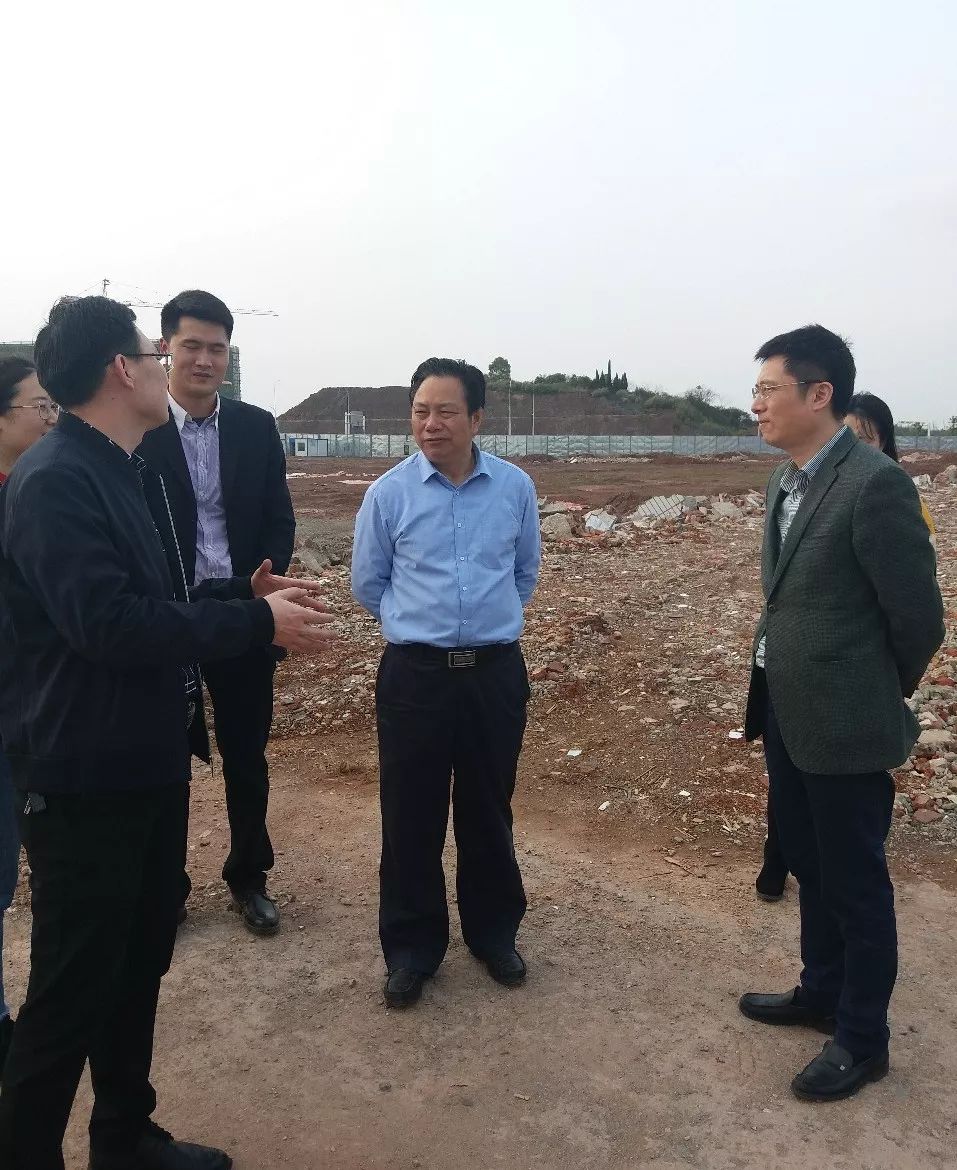 云龍示范區(qū)最新動態(tài)，觀點闡述與立場分析揭秘