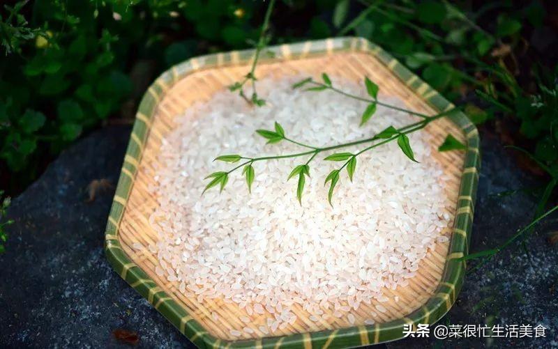 熱門兒歌變遷概覽，最新排名與影響分析