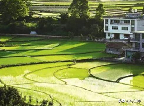最新小本投資項目深度探討，投資機遇與挑戰(zhàn)并存