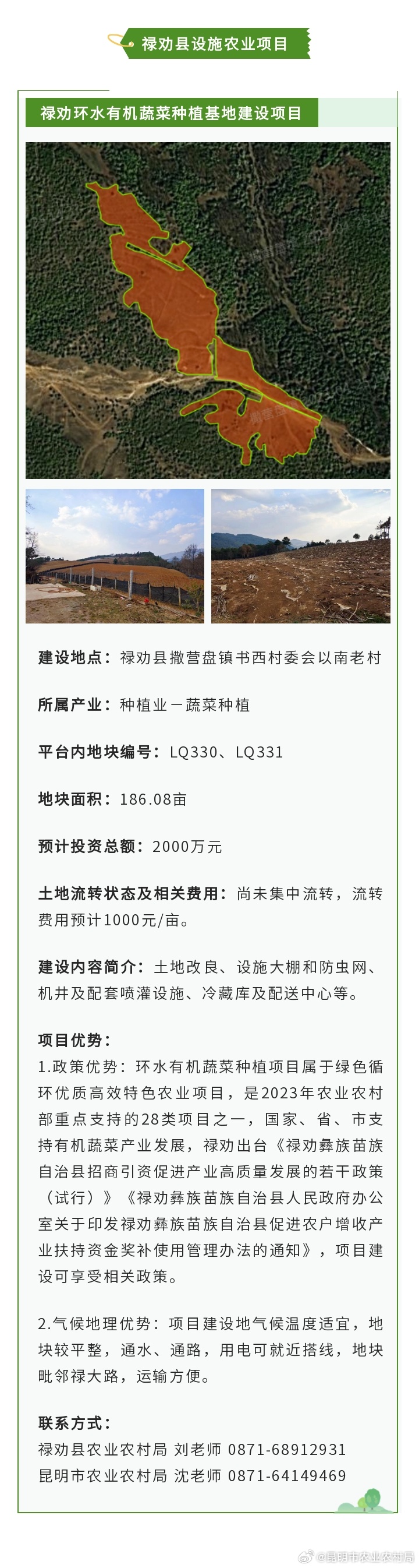 新時代財富探索，最新致富好項目指南